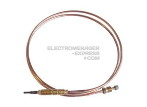 Thermocouple l=850mm C00009304